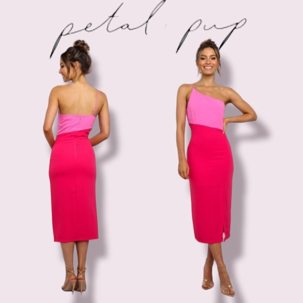 Petal & Pup Xiomar One Shoulder Midi Dress Pink Red Size 0 Wedding Shower Event - Picture 2 of 12